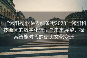 “沭陽找小jie去那條街2023”沭陽科技街區(qū)的數(shù)字化轉(zhuǎn)型與未來展望，探索智能時代的街頭文化變遷