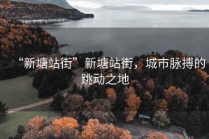 “新塘站街”新塘站街，城市脈搏的跳動(dòng)之地