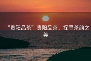 “貴陽品茶”貴陽品茶，探尋茶韻之美