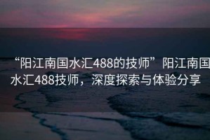 “陽江南國水匯488的技師”陽江南國水匯488技師，深度探索與體驗(yàn)分享