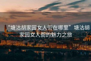 “塘沽胡家園女人街在哪里”塘沽胡家園女人街的魅力之旅