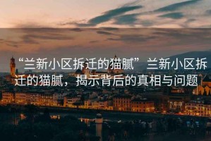 “蘭新小區(qū)拆遷的貓膩”蘭新小區(qū)拆遷的貓膩，揭示背后的真相與問題