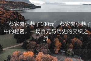 “蔡家崗小巷子100元”蔡家崗小巷子中的秘密，一場百元與歷史的交織之旅