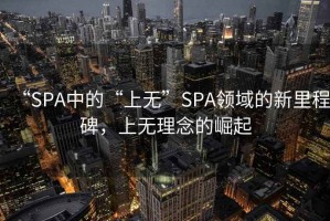 “SPA中的“上無”SPA領(lǐng)域的新里程碑，上無理念的崛起