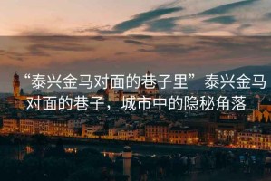 “泰興金馬對面的巷子里”泰興金馬對面的巷子，城市中的隱秘角落