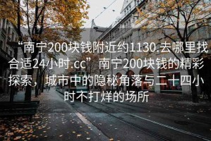 “南寧200塊錢附近約1130.去哪里找合適24小時.cc”南寧200塊錢的精彩探索，城市中的隱秘角落與二十四小時不打烊的場所