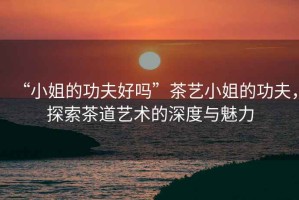 “小姐的功夫好嗎”茶藝小姐的功夫，探索茶道藝術(shù)的深度與魅力