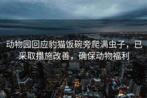 動(dòng)物園回應(yīng)豹貓飯碗旁爬滿(mǎn)蟲(chóng)子，已采取措施改善，確保動(dòng)物福利