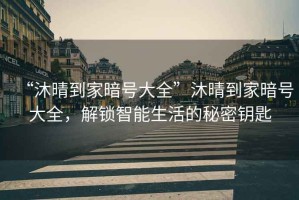 “沐晴到家暗號(hào)大全”沐晴到家暗號(hào)大全，解鎖智能生活的秘密鑰匙
