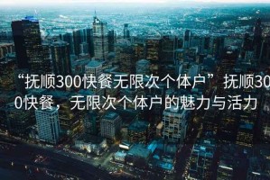 “撫順300快餐無限次個體戶”撫順300快餐，無限次個體戶的魅力與活力