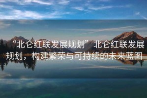 “北侖紅聯(lián)發(fā)展規(guī)劃”北侖紅聯(lián)發(fā)展規(guī)劃，構(gòu)建繁榮與可持續(xù)的未來藍(lán)圖