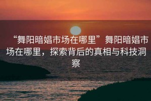 “舞陽(yáng)暗娼市場(chǎng)在哪里”舞陽(yáng)暗娼市場(chǎng)在哪里，探索背后的真相與科技洞察