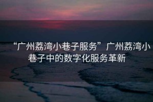 “廣州荔灣小巷子服務(wù)”廣州荔灣小巷子中的數(shù)字化服務(wù)革新