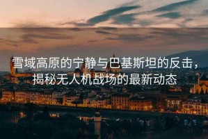 雪域高原的寧靜與巴基斯坦的反擊，揭秘無人機戰(zhàn)場的最新動態(tài)