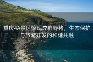 重慶4A景區(qū)驚現(xiàn)成群野豬，生態(tài)保護(hù)與旅游開發(fā)的和諧共融