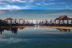 “東莞雞都去哪里了?東莞雞都去哪里了？