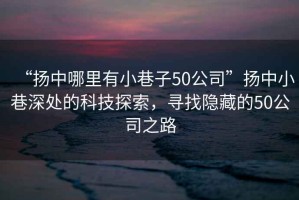 “揚(yáng)中哪里有小巷子50公司”揚(yáng)中小巷深處的科技探索，尋找隱藏的50公司之路