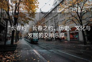 “長(zhǎng)春約”長(zhǎng)春之約，歷史、文化與發(fā)展的交響樂(lè)章