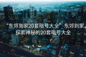“東郊到家20套暗號(hào)大全”東郊到家，探索神秘的20套暗號(hào)大全