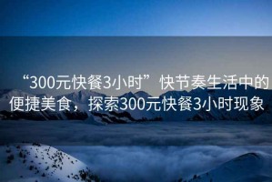 “300元快餐3小時”快節(jié)奏生活中的便捷美食，探索300元快餐3小時現(xiàn)象