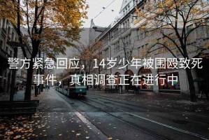 警方緊急回應(yīng)，14歲少年被圍毆致死事件，真相調(diào)查正在進(jìn)行中