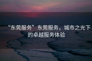 “東莞服務”東莞服務，城市之光下的卓越服務體驗