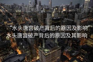“水頭唐宮破產背后的原因及影響”水頭唐宮破產背后的原因及其影響