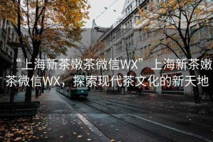 “上海新茶嫩茶微信WX”上海新茶嫩茶微信WX，探索現(xiàn)代茶文化的新天地