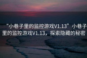 “小巷子里的監(jiān)控游戲V1.13”小巷子里的監(jiān)控游戲V1.13，探索隱藏的秘密