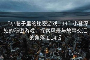 “小巷子里的秘密游戲1.14”小巷深處的秘密游戲，探索風(fēng)景與故事交匯的角落 1.14版