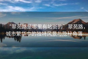 “翠苑路是哪里有站街的”翠苑路，城市繁華中的獨(dú)特風(fēng)景與隱秘角落