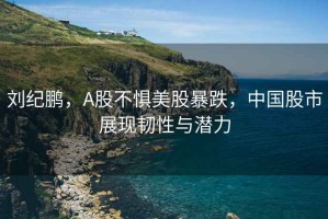 劉紀(jì)鵬，A股不懼美股暴跌，中國股市展現(xiàn)韌性與潛力