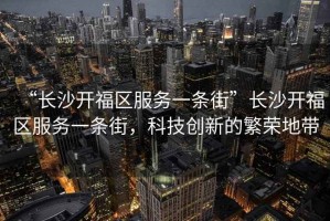 “長沙開福區(qū)服務(wù)一條街”長沙開福區(qū)服務(wù)一條街，科技創(chuàng)新的繁榮地帶
