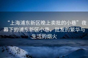 “上海浦東新區(qū)晚上賣批的小巷”夜幕下的浦東新區(qū)小巷，批發(fā)的繁華與生活的煙火