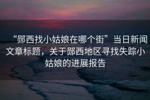 “鄖西找小姑娘在哪個(gè)街”當(dāng)日新聞文章標(biāo)題，關(guān)于鄖西地區(qū)尋找失蹤小姑娘的進(jìn)展報(bào)告