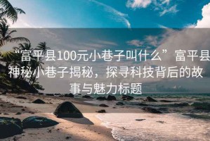 “富平縣100元小巷子叫什么”富平縣神秘小巷子揭秘，探尋科技背后的故事與魅力標(biāo)題