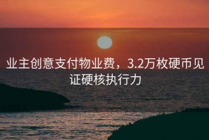 業(yè)主創(chuàng)意支付物業(yè)費(fèi)，3.2萬枚硬幣見證硬核執(zhí)行力