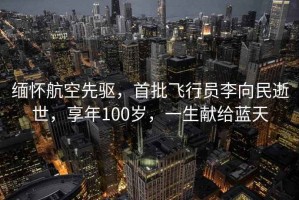 緬懷航空先驅(qū)，首批飛行員李向民逝世，享年100歲，一生獻(xiàn)給藍(lán)天