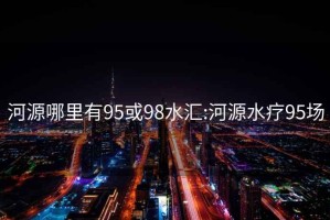 河源哪里有95或98水匯:河源水療95場