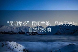 “昆明葷茶”昆明葷茶，品味歷史與自然的交響