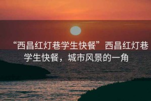 “西昌紅燈巷學(xué)生快餐”西昌紅燈巷學(xué)生快餐，城市風(fēng)景的一角