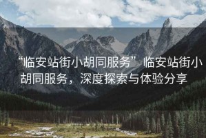 “臨安站街小胡同服務”臨安站街小胡同服務，深度探索與體驗分享