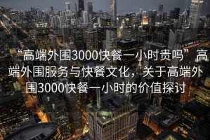 “高端外圍3000快餐一小時貴嗎”高端外圍服務(wù)與快餐文化，關(guān)于高端外圍3000快餐一小時的價值探討