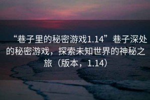 “巷子里的秘密游戲1.14”巷子深處的秘密游戲，探索未知世界的神秘之旅（版本，1.14）