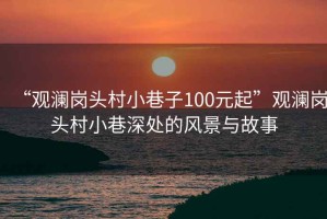 “觀瀾崗頭村小巷子100元起”觀瀾崗頭村小巷深處的風(fēng)景與故事