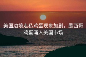 美國邊境走私雞蛋現(xiàn)象加劇，墨西哥雞蛋涌入美國市場