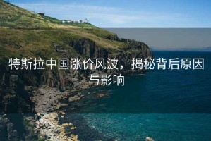 特斯拉中國漲價風(fēng)波，揭秘背后原因與影響