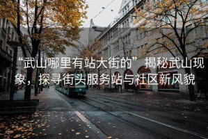 “武山哪里有站大街的”揭秘武山現(xiàn)象，探尋街頭服務(wù)站與社區(qū)新風(fēng)貌