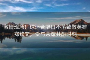 激情現(xiàn)場(chǎng)！球迷合唱日不落致敬英雄鄭欽文，愛與榮耀共融時(shí)刻
