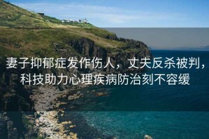妻子抑郁癥發(fā)作傷人，丈夫反殺被判，科技助力心理疾病防治刻不容緩